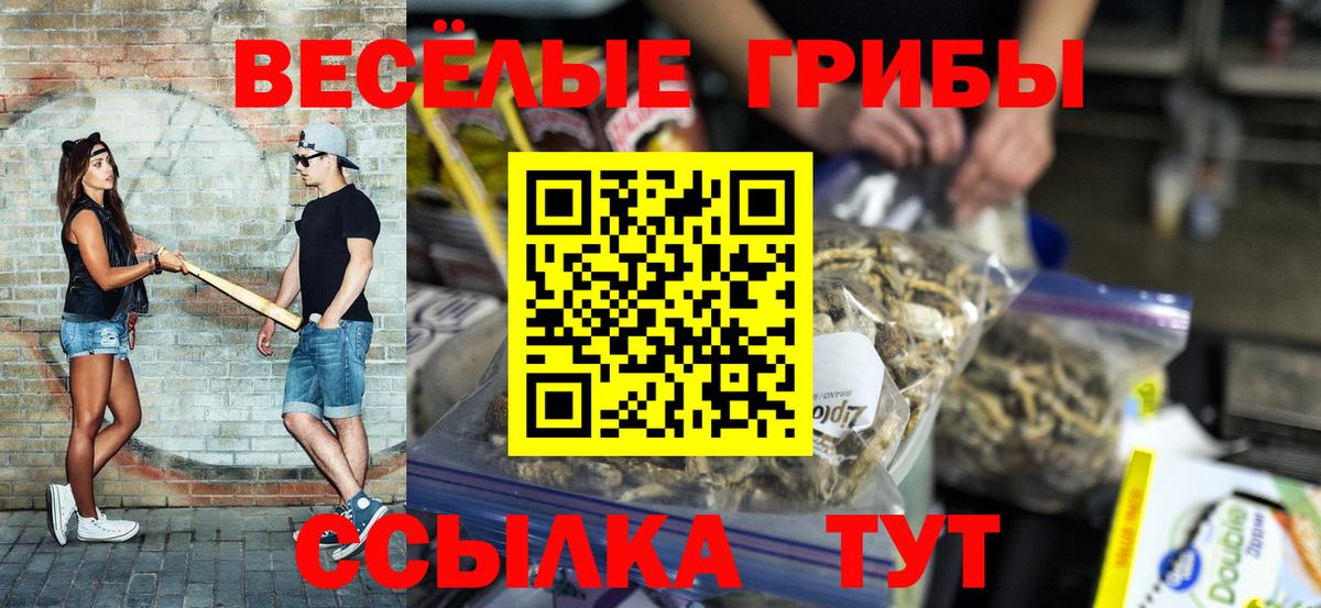 Зеленогорск  закладки  Вход с VPN  Галлюциногенные грибы мухоморы  Псилоцибиновые грибы мицелий 