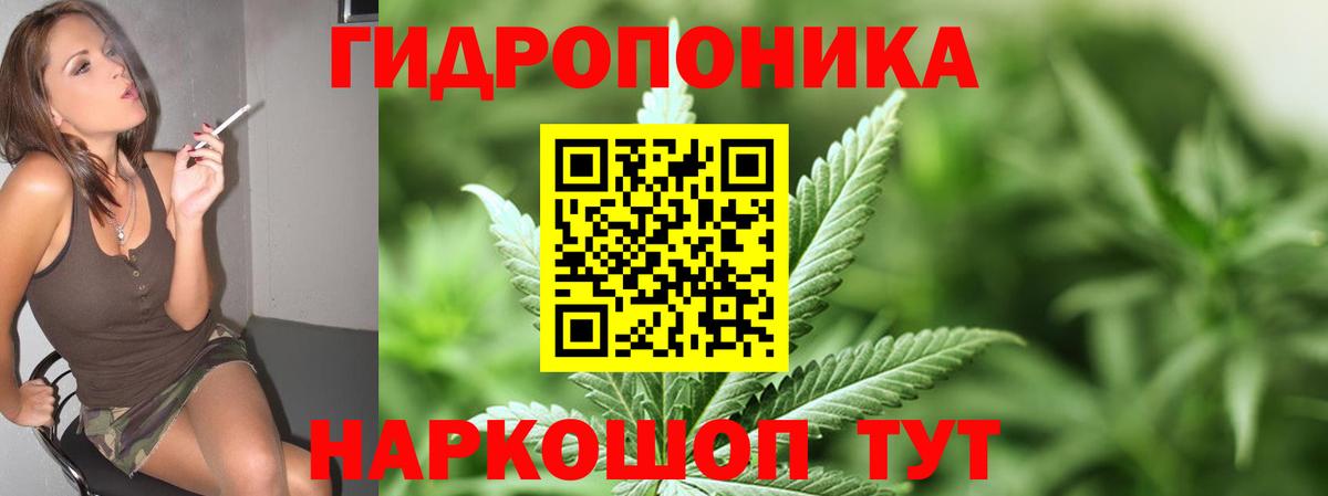 Шишки марихуана индика Зеленогорск